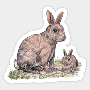 Rabbit Sticker